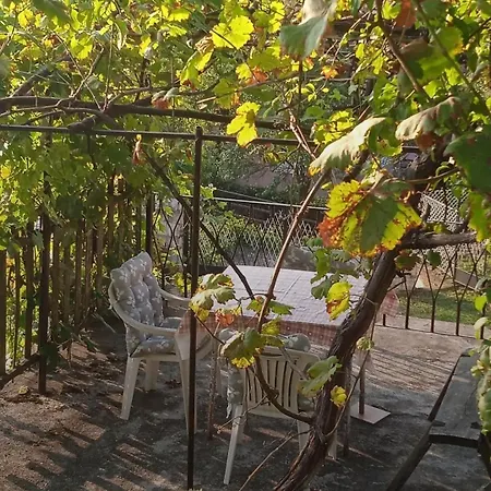 Domacinstvo Sesirce Daire *